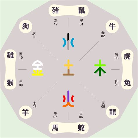 雅五行屬性|雅字五行属什么